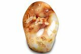 Free-Standing, Polished Carnelian Agate - Madagascar #323076-2